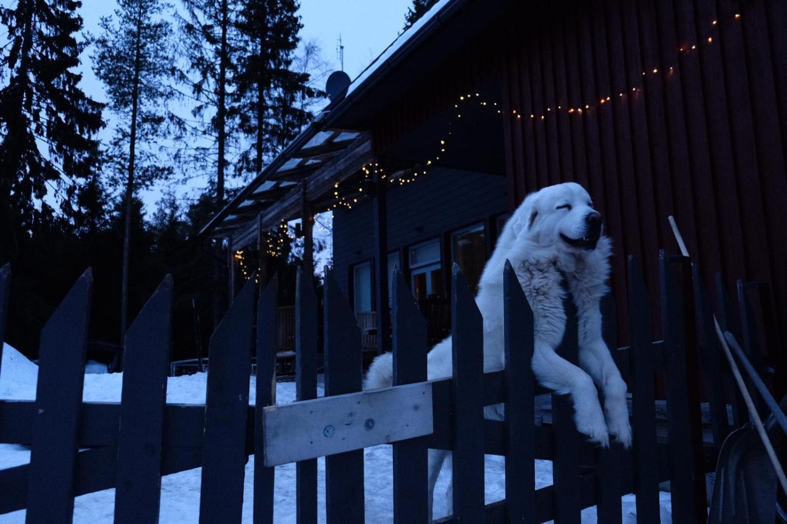 Laplandbike Apartment Arctic Circle Rovaniemi Exterior photo